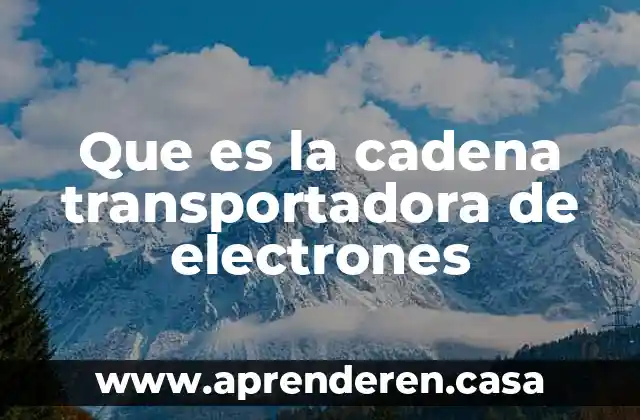 Que es la cadena transportadora de electrones