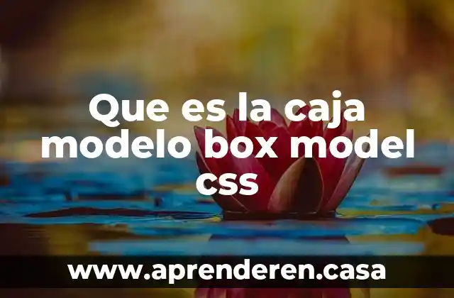 Que es la caja modelo box model css