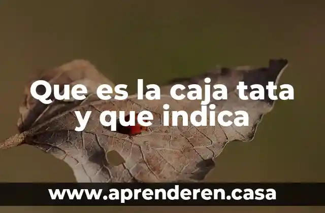 El presente temporal indica que es una acccion 4 Que es la caja tata y que indica