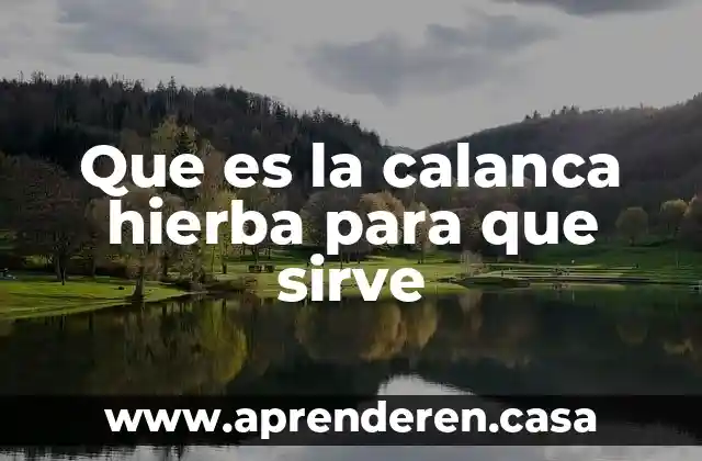 Que es el acido sulfurico y para que sirve 8 Que es la calanca hierba para que sirve