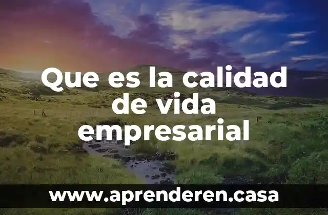 Que es la calidad de vida empresarial
