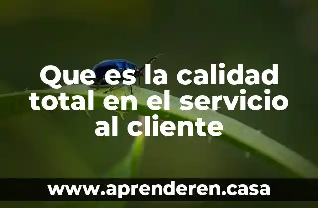 Que es comunicación y servicio al cliente 4 Que es la calidad total en el servicio al cliente