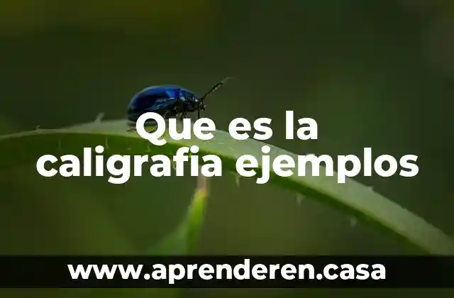 Que es la caligrafia ejemplos