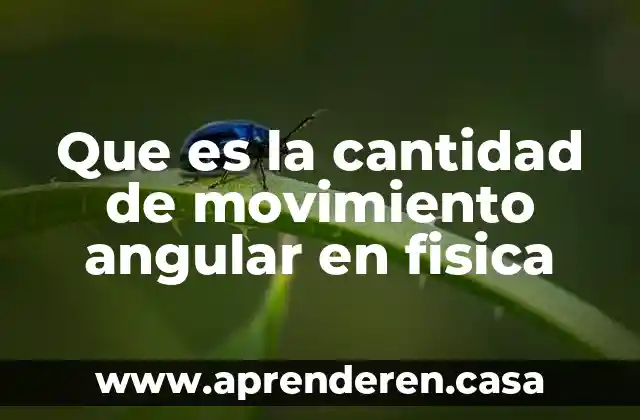 Que es la cantidad de movimiento angular en fisica