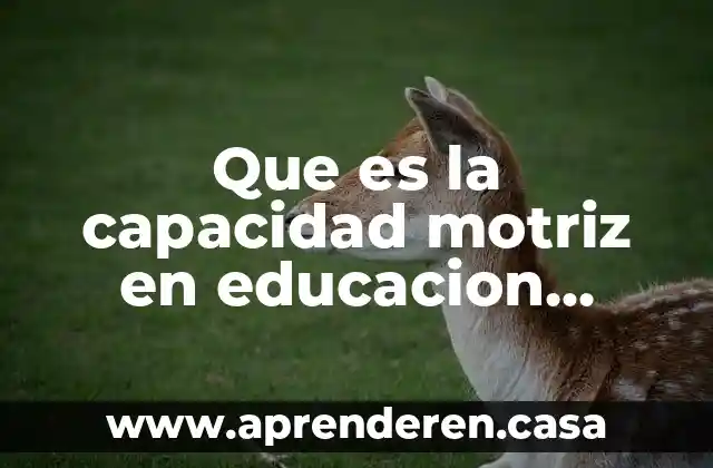Que es la capacidad motriz en educacion fisica