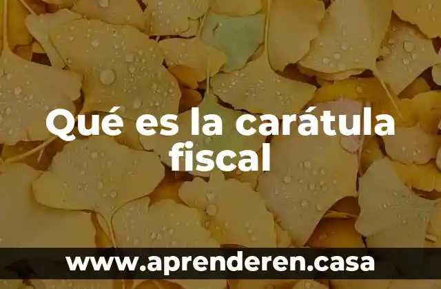 Que es una carátula de un documento 3 Qué es la carátula fiscal