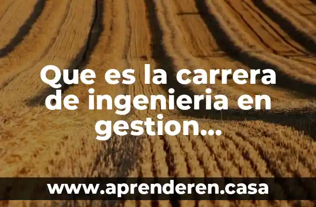 Que es la ingenieria quimica petrolera 3 Que es la carrera de ingenieria en gestion empresarial