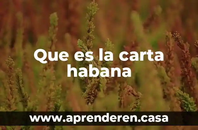 Que es carta petición 5 Que es la carta habana