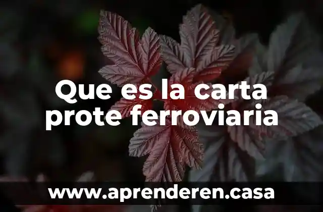 Que es la carta prote ferroviaria