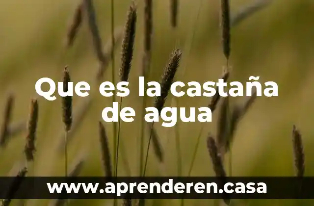 Que es la castaña de agua