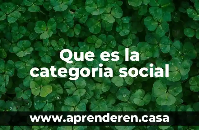 Que es la categoria social