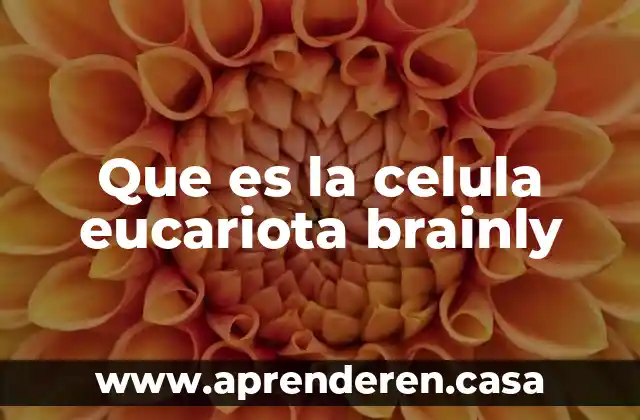Que es la celula eucariota brainly