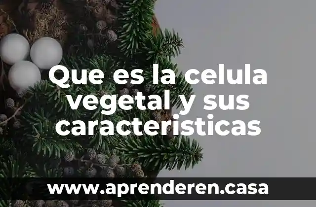 Que es la celula vegetal y sus caracteristicas