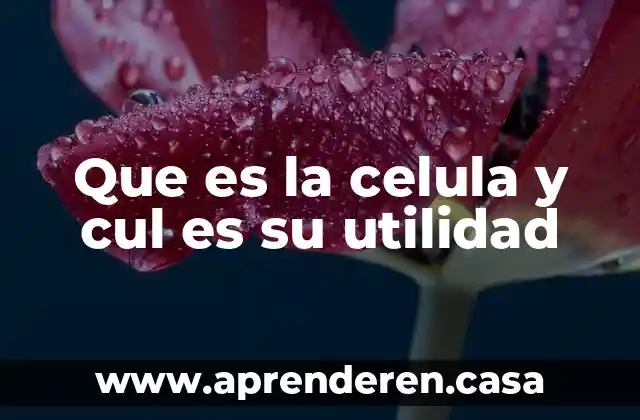 Que es la celula y cul es su utilidad