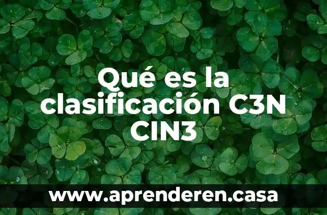 Que es clasificacion de grupos 4 Qué es la clasificación C3N CIN3