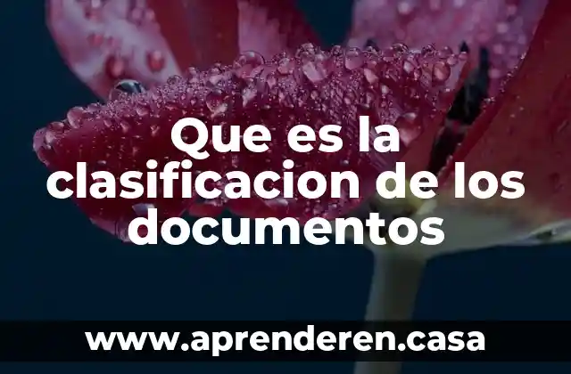 Que es la clasificacion de los documentos