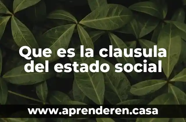 Que es la clausula del estado social