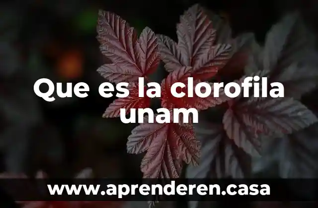 Que es la osificacion unam 3 Que es la clorofila unam