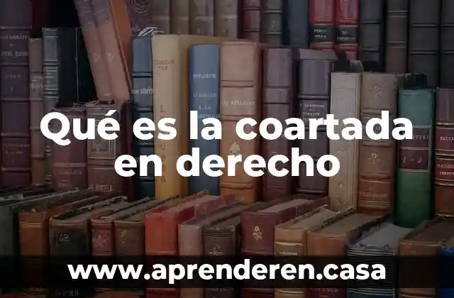 Qué es la coartada en derecho