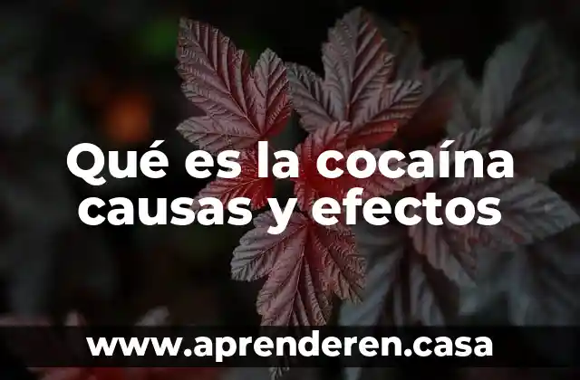 Que es la cocaina en ingles 3 Qué es la cocaína causas y efectos