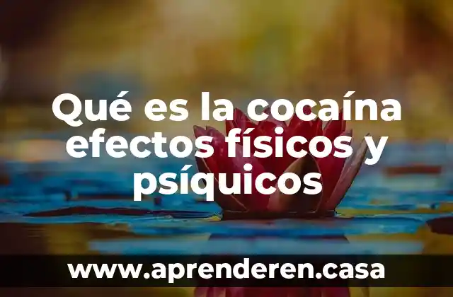 Que es la cocaina en ingles 4 Qué es la cocaína efectos físicos y psíquicos