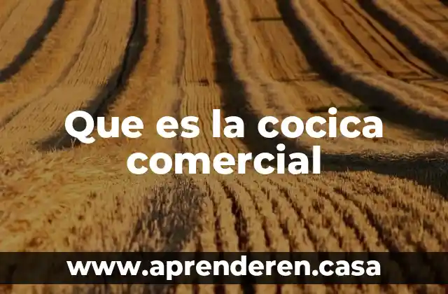 Que es fgiro comercial 8 Que es la cocica comercial