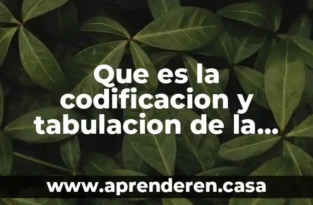 Qué es la tabulación ejemplos 4 Que es la codificacion y tabulacion de la informacion