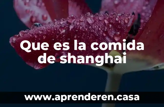Betancur que es comida 4 Que es la comida de shanghai
