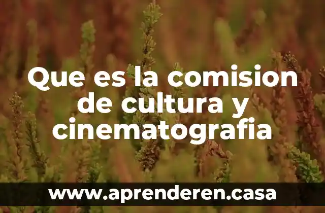 Que es la comision de cultura y cinematografia