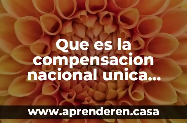 Que es un pliego nacional de demandas 4 Que es la compensacion nacional unica 2020