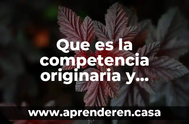 Que es la competencia originaria y derivada Mexico
