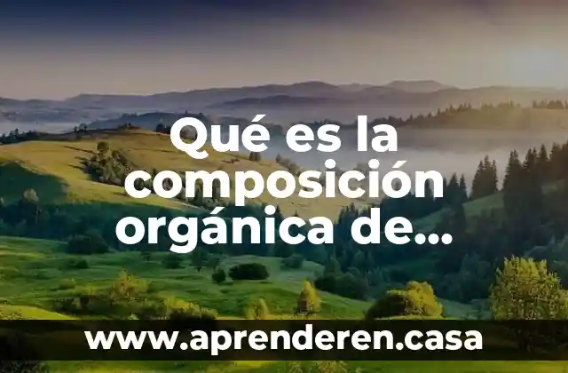Qué es el importe de capital en una sociedad anónima 3 Qué es la composición orgánica de capital