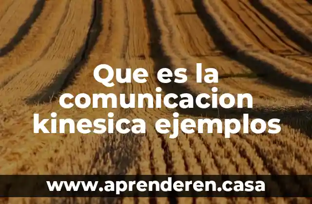Que es la comunicacion kinesica ejemplos