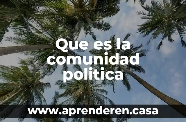 Que es la comunidad politica