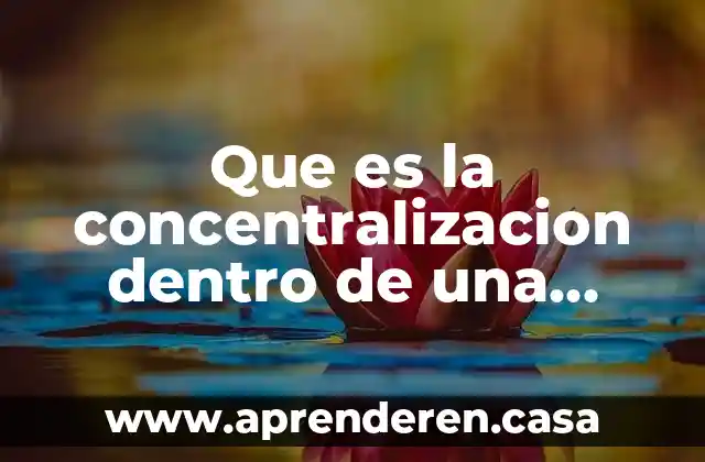 Que es la concentralizacion dentro de una organizacion