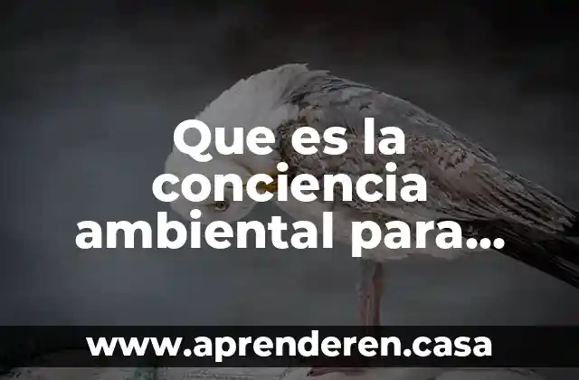 Que es la conciencia ambiental para niños