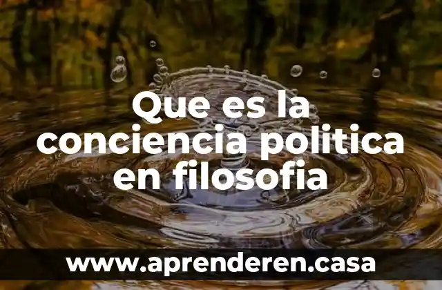 Que es la conciencia politica en filosofia