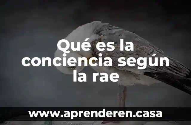 Qué es la conciencia según la rae