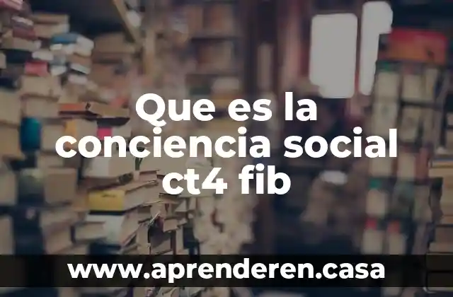 Que es la conciencia social ct4 fib