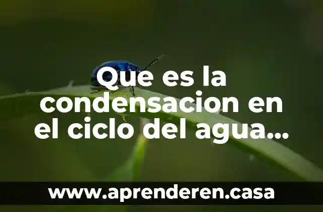Que es la condensacion en el ciclo del agua ejemplo