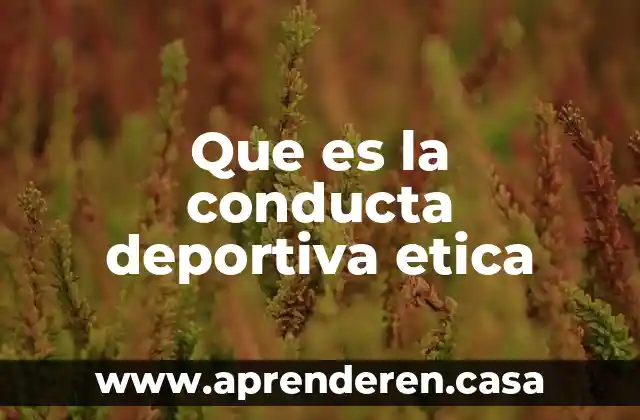 Que es la conducta deportiva etica