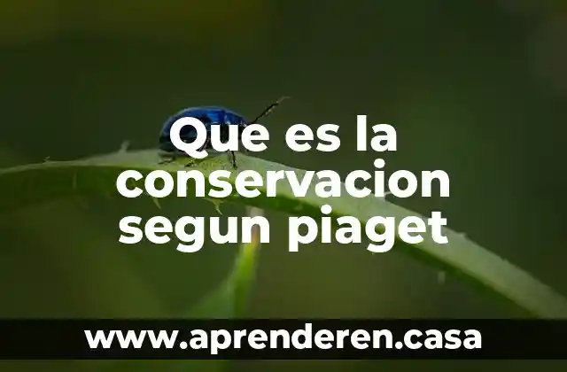 Qué es la histeria según la psicología 3 Que es la conservacion segun piaget
