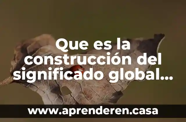 Que es la construcción del significado global de un texto