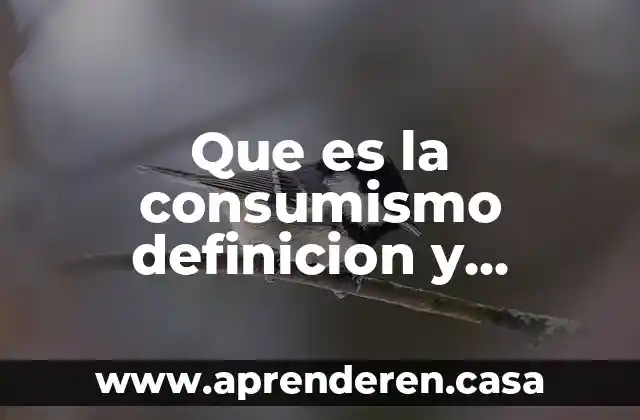 Que es la consumismo definicion y concepto