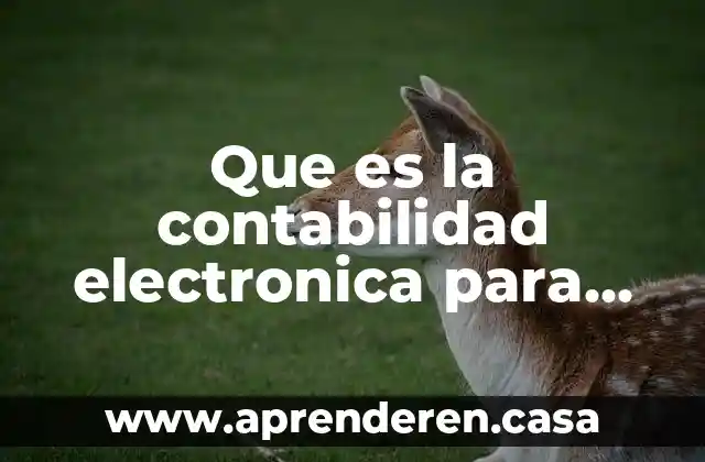 Que es la contabilidad electronica para efectos fiscales