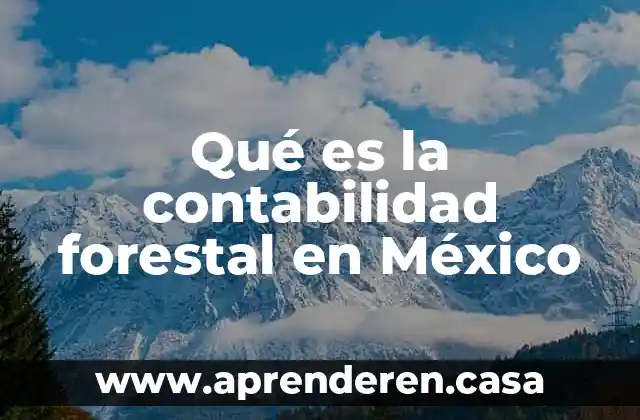 Qué es la contabilidad forestal en México