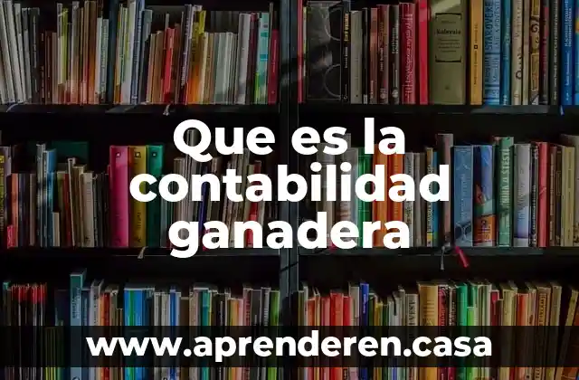 Qué es un tractor en contabilidad 4 Que es la contabilidad ganadera