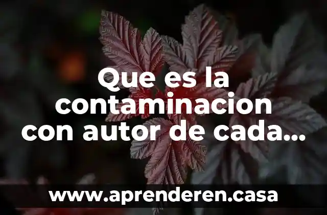 Que es la contaminacion con autor de cada uno