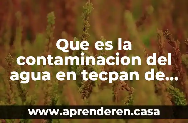 Que es la contaminacion del agua en tecpan de galeana