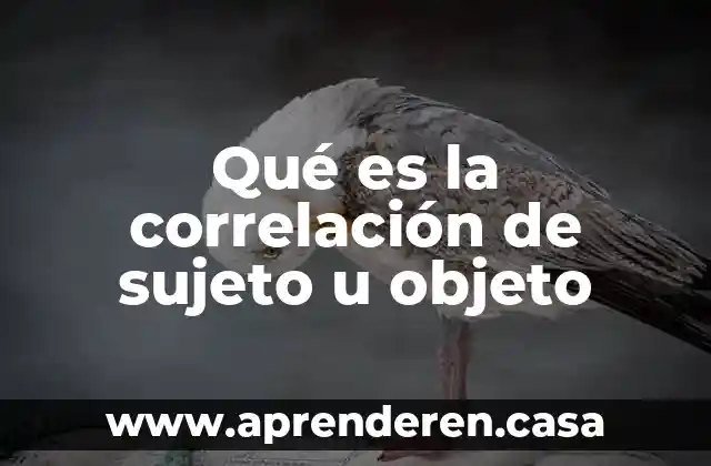 Qué es la correlación de sujeto u objeto